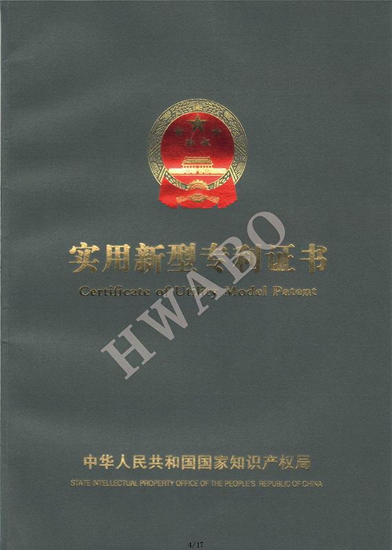 Image Caption